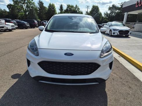Used 2020 Ford Escape SE AWD/4WD image 3