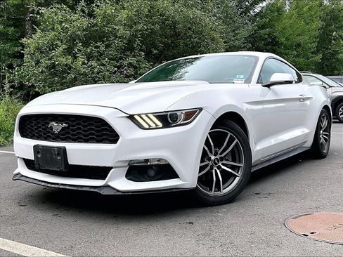 Used 2015 Ford Mustang Premium w/ Equipment Group 201A RWD image 3