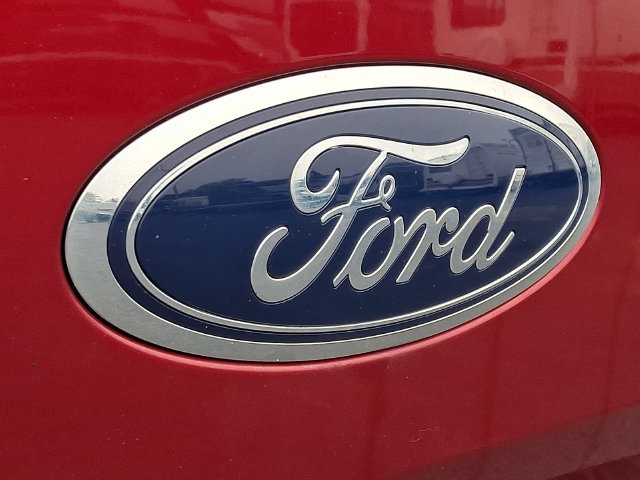 Used 2019 Ford F150 XLT w/ Equipment Group 302A Luxury AWD/4WD image 29