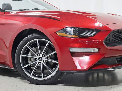 Used 2019 Ford Mustang Premium w/ Equipment Group 201A image 5
