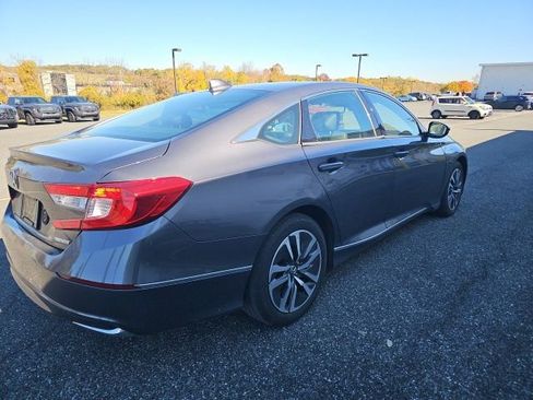 Used 2019 Honda Accord EX-L image 7