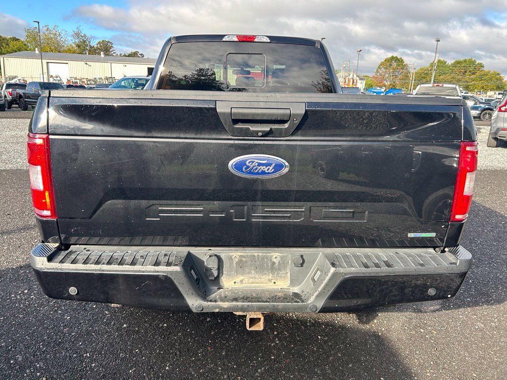 Used 2019 Ford F150 XLT w/ Equipment Group 302A Luxury AWD/4WD image 9