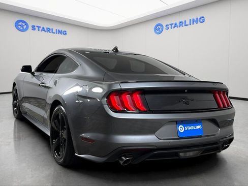 Used 2023 Ford Mustang Premium w/ Mustang Nite Pony Package image 6