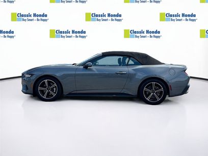 Used 2025 Ford Mustang Premium