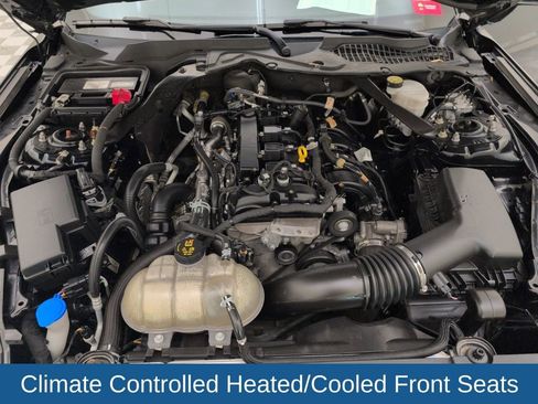 Used 2023 Ford Mustang Premium image 44