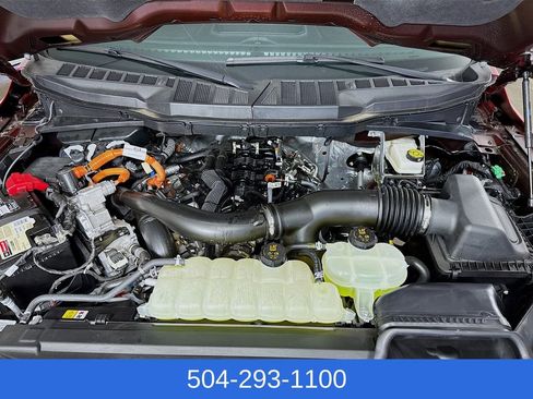 New 2025 Ford F150 XLT w/ Equipment Group 303A High image 31