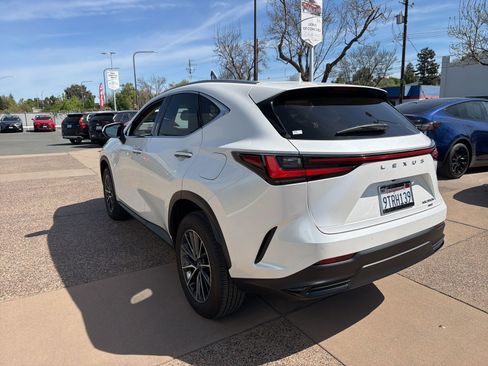 Used 2025 Lexus NX 350h AWD w/ Cold Area Package image 4