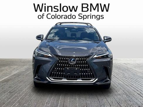 Used 2024 Lexus NX 350h AWD image 2