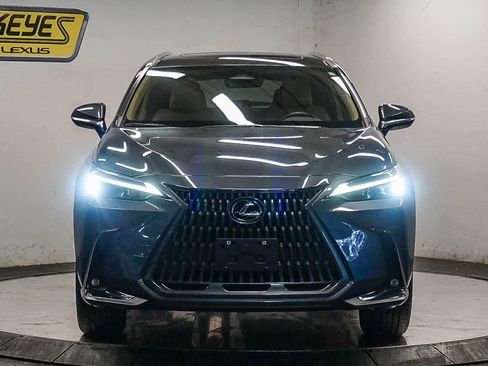 Used 2024 Lexus NX 250 image 6