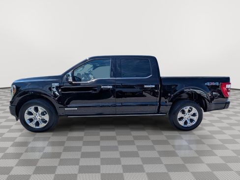 Used 2023 Ford F150 Platinum w/ Equipment Group 701A High AWD/4WD image 2