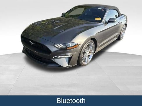 Used 2018 Ford Mustang Premium w/ Equipment Group 201A RWD image 3