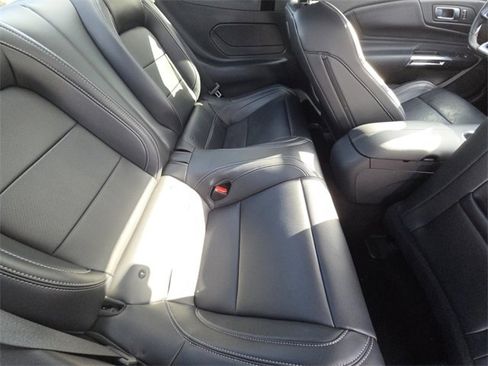 Used 2025 Ford Mustang Premium w/ Mustang Nite Pony Package image 14