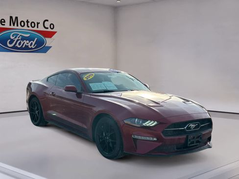 Certified 2019 Ford Mustang Premium w/ Pony Package image 3
