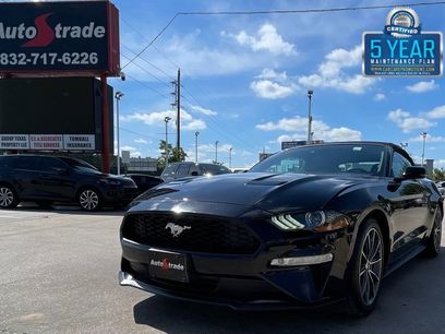 Used 2019 Ford Mustang Premium w/ Equipment Group 201A