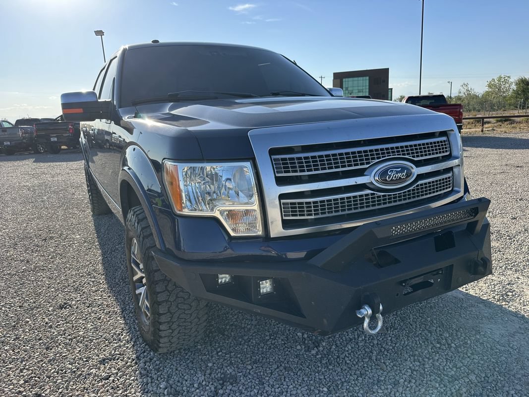 Used 2009 Ford F150 Platinum AWD/4WD image 2