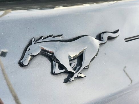 Used 2019 Ford Mustang Coupe w/ Equipment Group 101A image 18