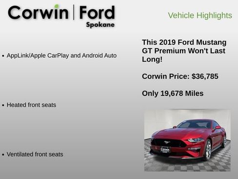 Used 2019 Ford Mustang GT Premium w/ Equipment Group 401A RWD image 12