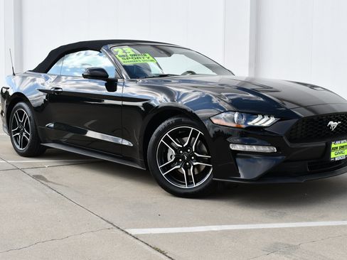 Used 2023 Ford Mustang Premium RWD image 2