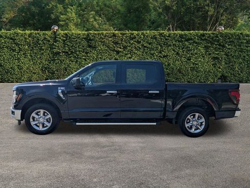 Used 2025 Ford F150 XLT w/ Equipment Group 301A Standard RWD image 7