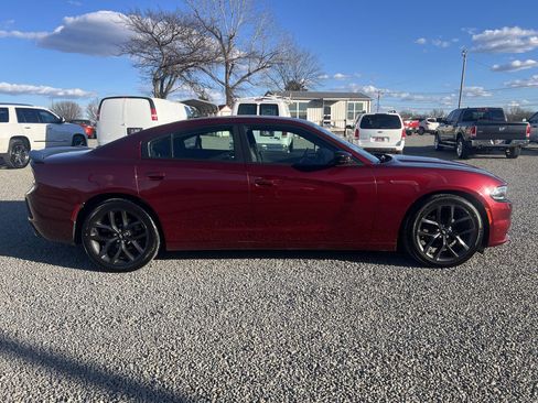 Used 2019 Dodge Charger SXT w/ Blacktop Package image 5