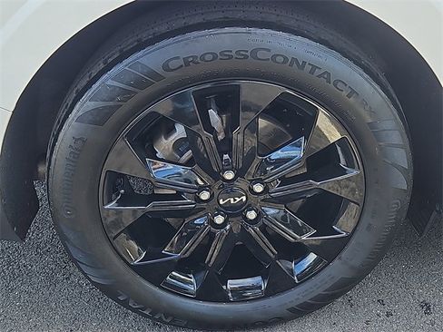 Certified 2024 Kia Carnival SX Prestige image 9