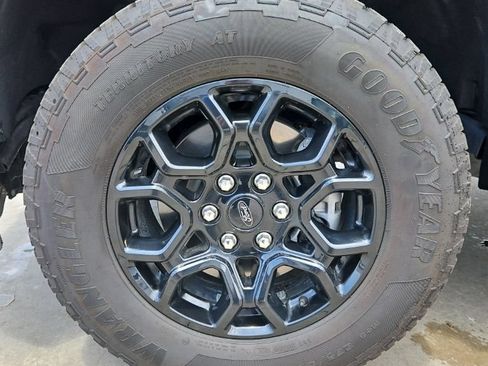 Used 2025 Ford F150 XLT w/ Equipment Group 301A Standard AWD/4WD image 13