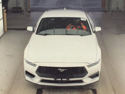 Used 2024 Ford Mustang Premium image 2