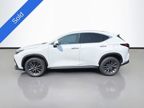 Certified 2026 Lexus NX 350h AWD w/ Cold Area Package image 4