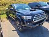 Used 2017 Toyota Tacoma TRD Sport image 3