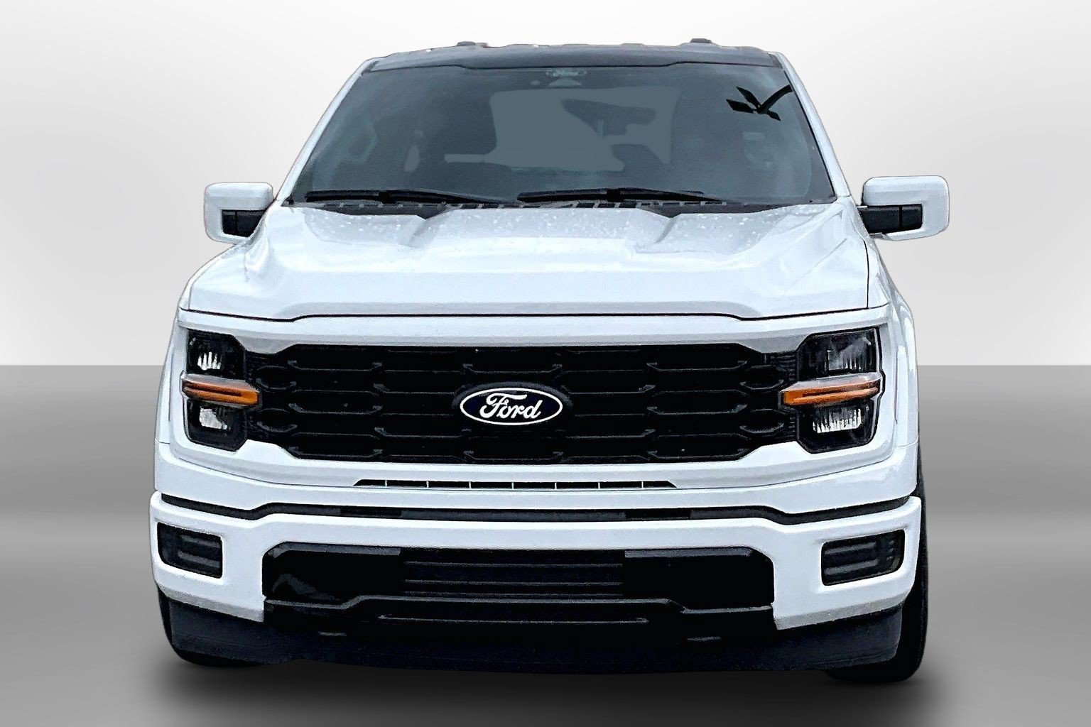Used 2025 Ford F150 XL AWD/4WD image 3