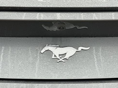 Used 2024 Ford Mustang Premium image 47