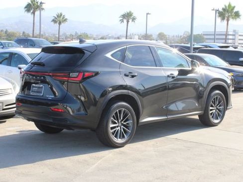 Certified 2026 Lexus NX 350h AWD w/ Cold Area Package image 21