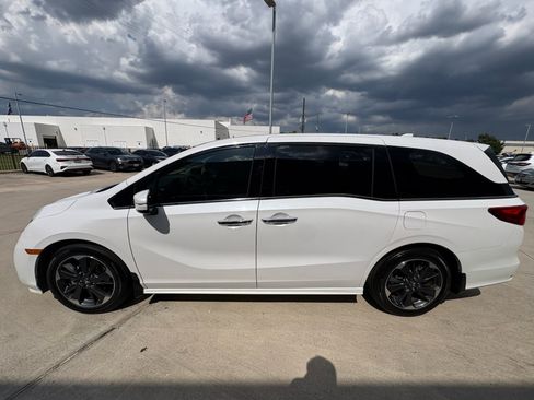 Used 2024 Honda Odyssey Elite image 5