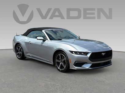 Used 2024 Ford Mustang Premium