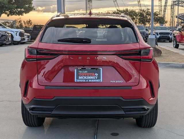 Used 2024 Lexus NX 250 FWD image 6