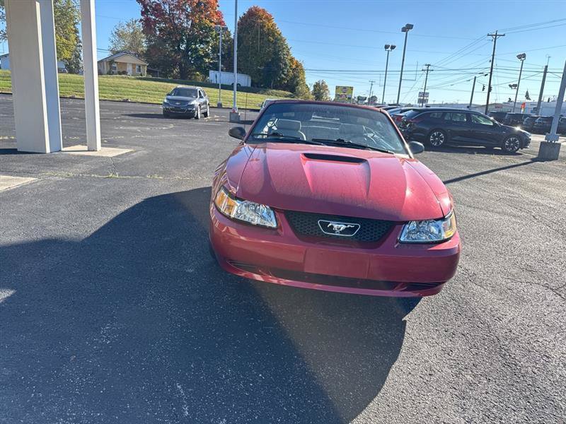 Used 2003 Ford Mustang Convertible RWD image 3