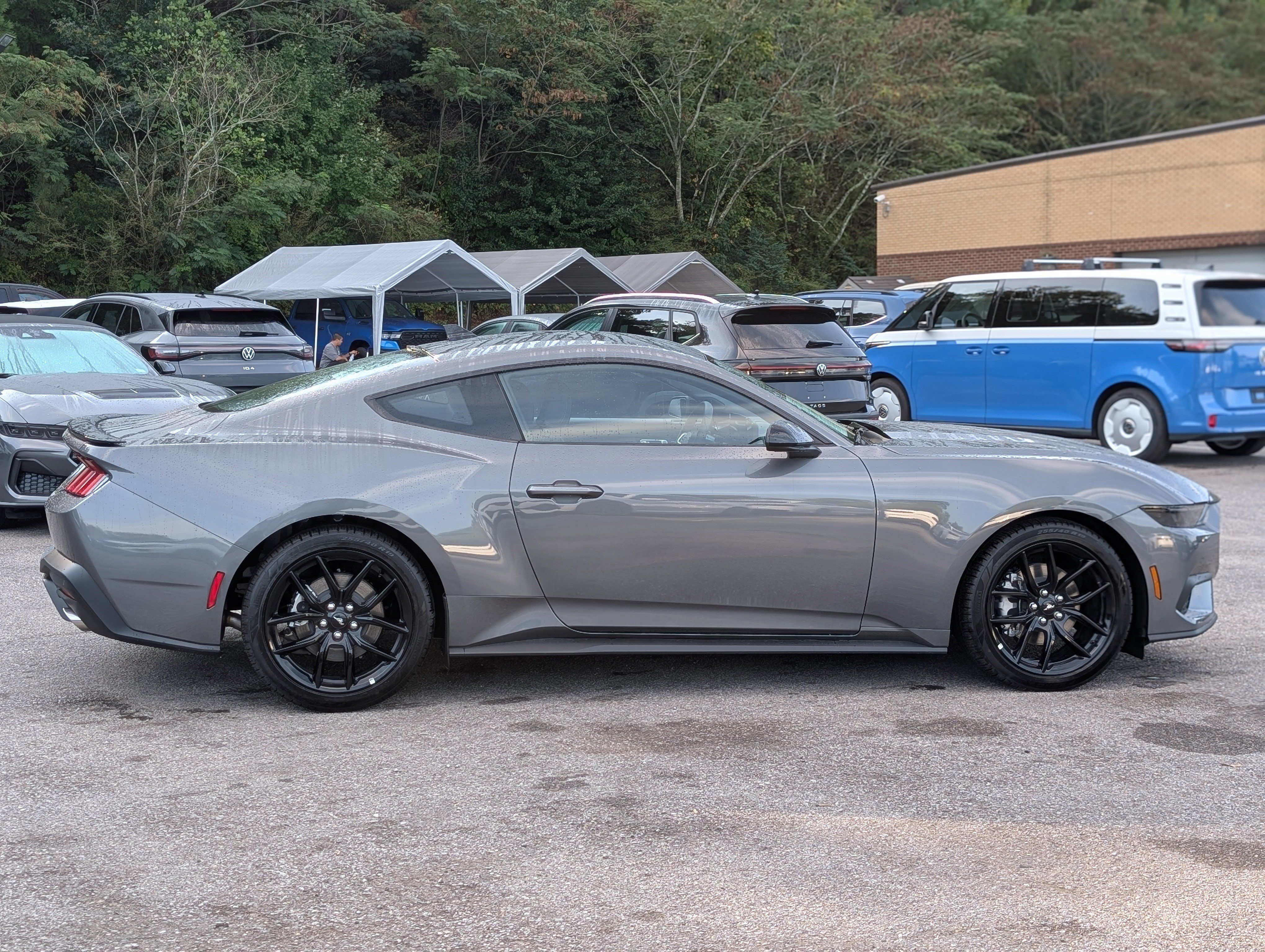 Used 2026 Ford Mustang Coupe w/ Mustang Nite Pony Package RWD image 10