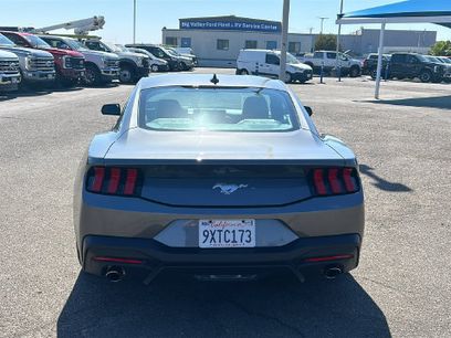 Used 2026 Ford Mustang Premium