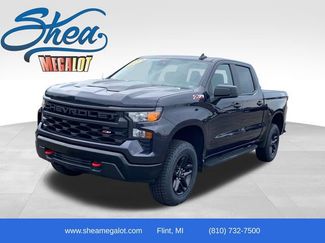 Certified 2024 Chevrolet Silverado 1500 Custom Trail Boss AWD/4WD 360° Tour