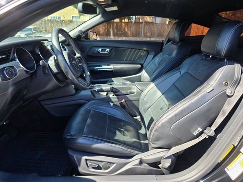 Used 2015 Ford Mustang Premium w/ 50 Years Appearance Package RWD image 18