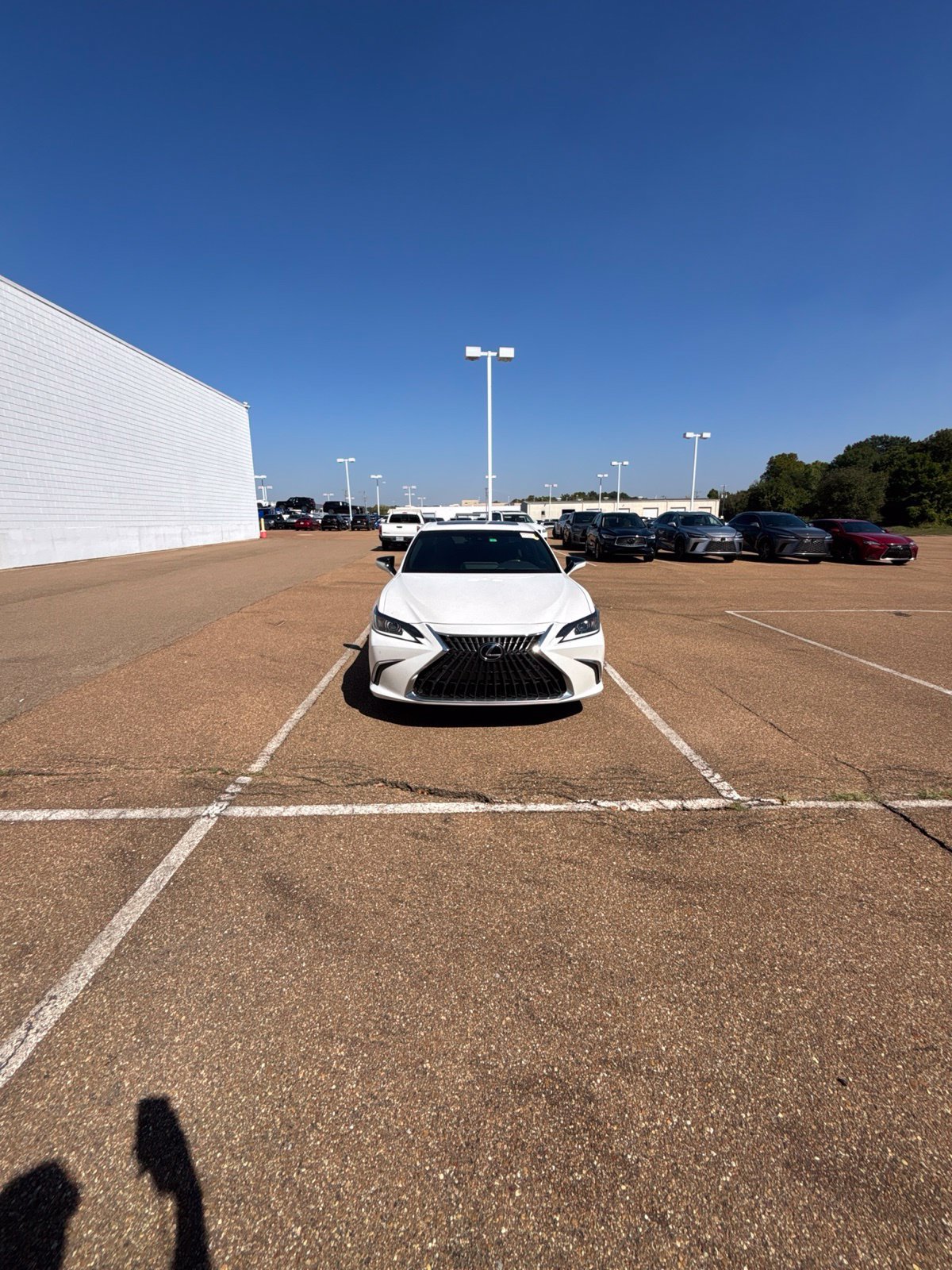 Used 2024 Lexus ES 350 w/ Premium Package FWD image 16