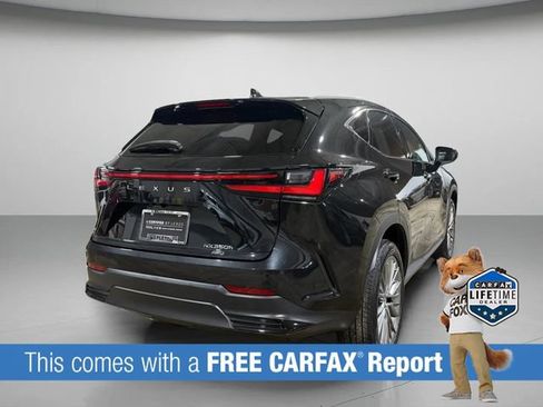 Used 2023 Lexus NX 350h AWD w/ Vision Package image 3