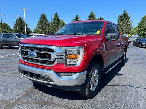 Used 2021 Ford F150 XLT w/ Equipment Group 302A High AWD/4WD image 8
