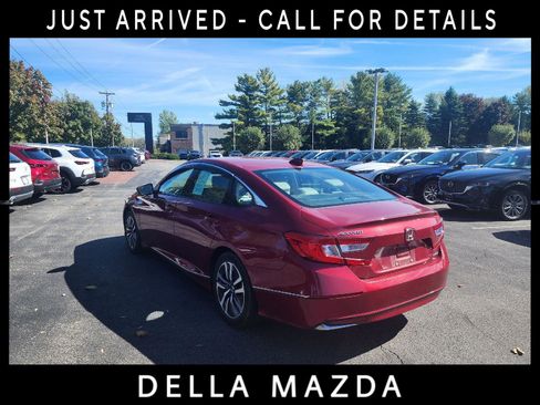 Used 2019 Honda Accord EX-L image 5