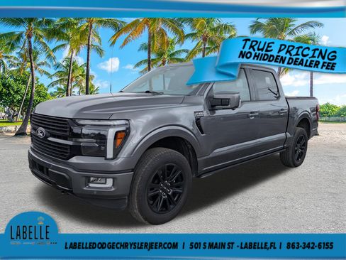 Used 2025 Ford F150 Platinum AWD/4WD image 8