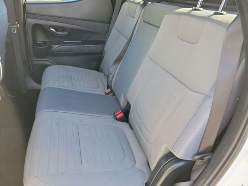 Used 2023 Hyundai Santa Cruz SEL Premium w/ Cargo Package image 7