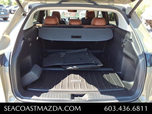Used 2025 MAZDA CX-50 Meridian Edition w/ Apex Package AWD/4WD image 15