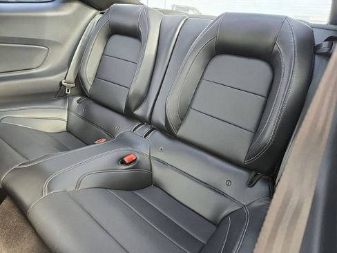 Used 2019 Ford Mustang GT Premium w/ Equipment Group 401A RWD image 8