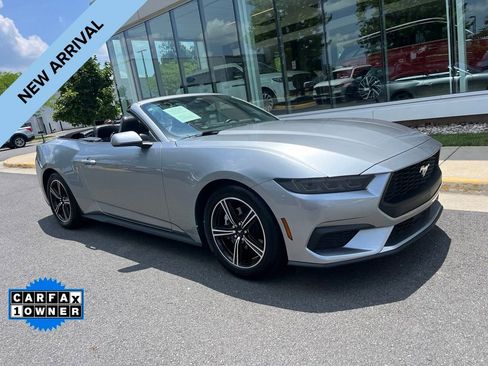 Used 2025 Ford Mustang Premium RWD image 1