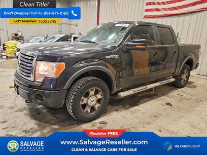 Used 2010 Ford F150 4x4 SuperCrew